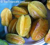 Averrhoa carambola, Carambola, Starfruit, Five-finger, Balimbing