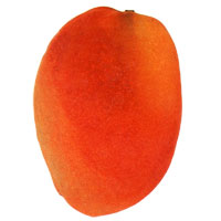 Cogshall Mango