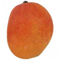Julie Mango
