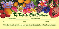 Gift certificate

Click to see full-size image