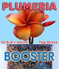 Plumeria Top Dress - Smart-Release Booster, 10 lb

Click to see full-size image