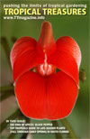 Tropical Treasures Magazine