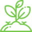 Looking for a rare plant? Seek no more, Top Tropicals has them all!