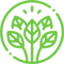 Top Tropicals offers the biggest selection of rare tropical plants from around the World