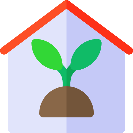 Plants for indoor garden