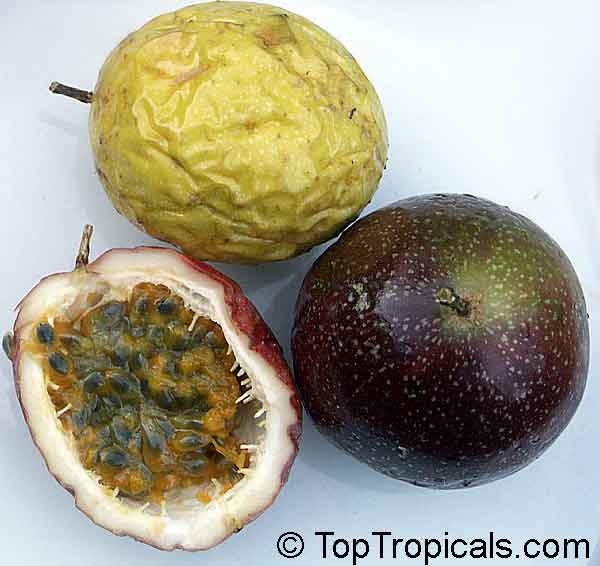 Parcha Fruit