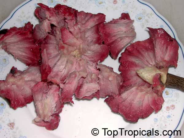 Annona reticulata, Custard Apple (Chirimoya - Cuba), Corazon