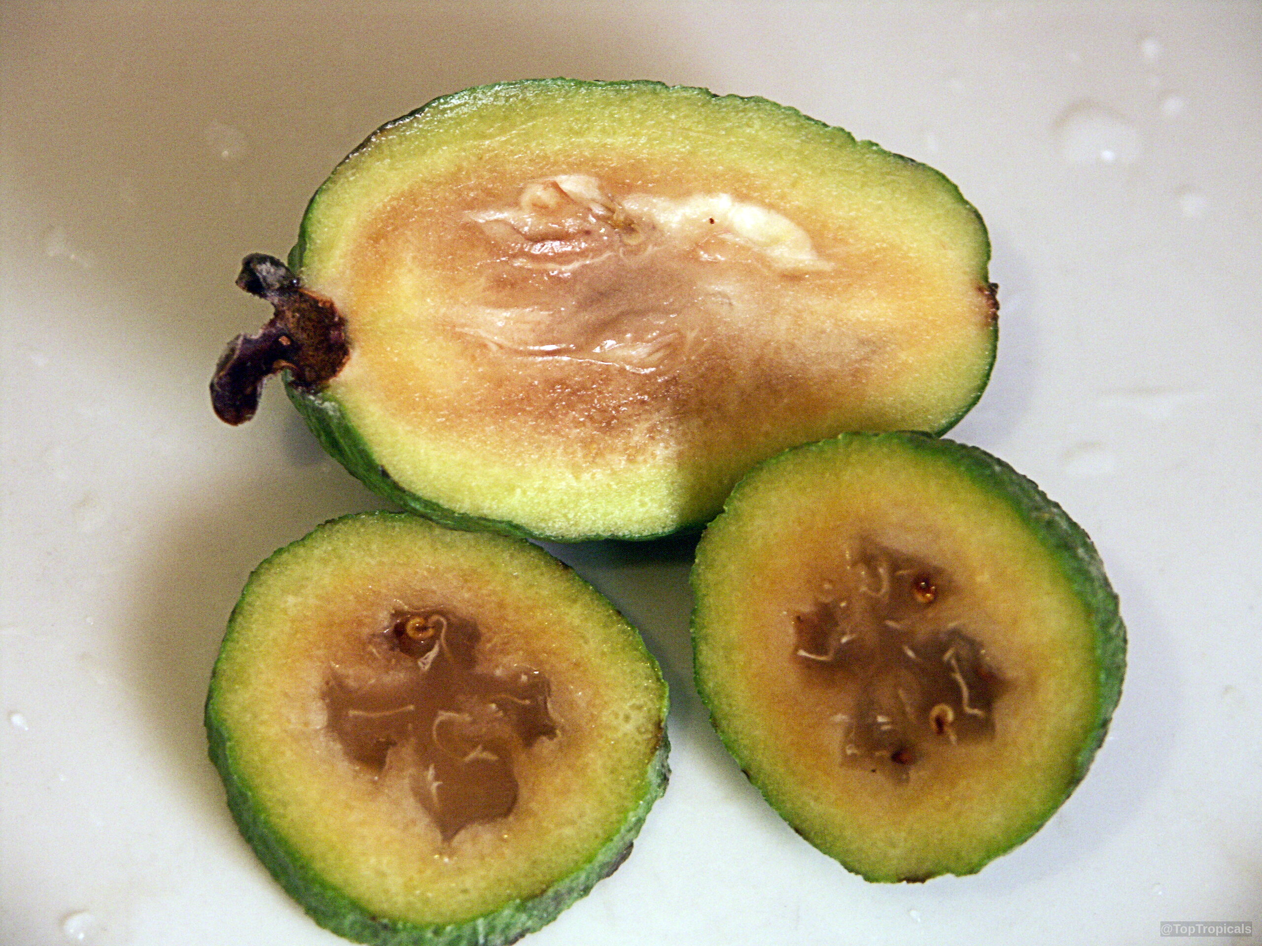 Feijoa sellowiana (Feijoa) fruit halves lying on a plate with golden pulp visible inside. Feijoa sellowiana (Feijoa) green fruit halves on a plate, close up shot of center.