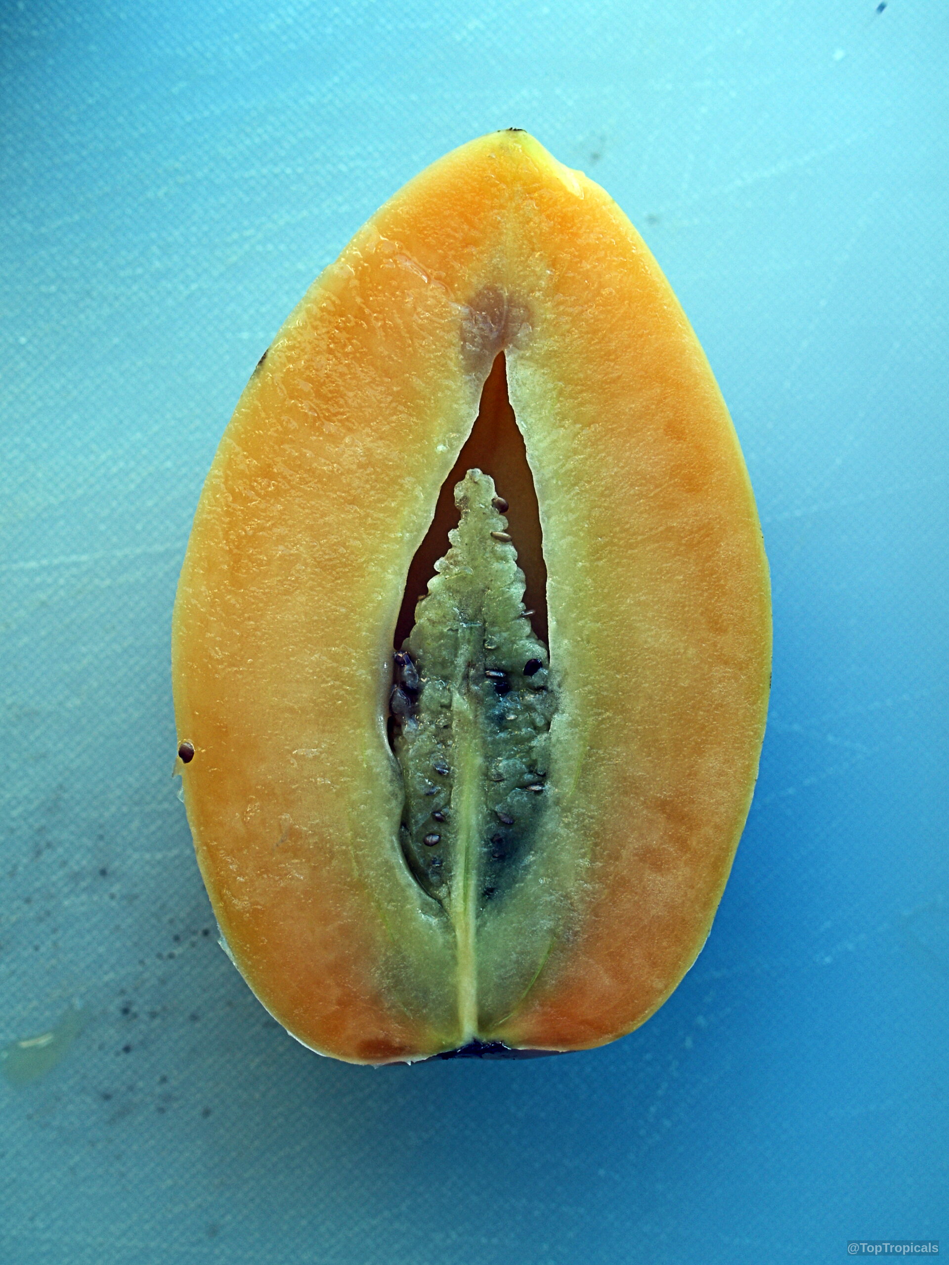 Solanum muricatum (Pepino Melon) sliced open to reveal inner yellow flesh and central seeds. Solanum muricatum (Pepino Melon) sliced yellow fruit, close up on a cutting board