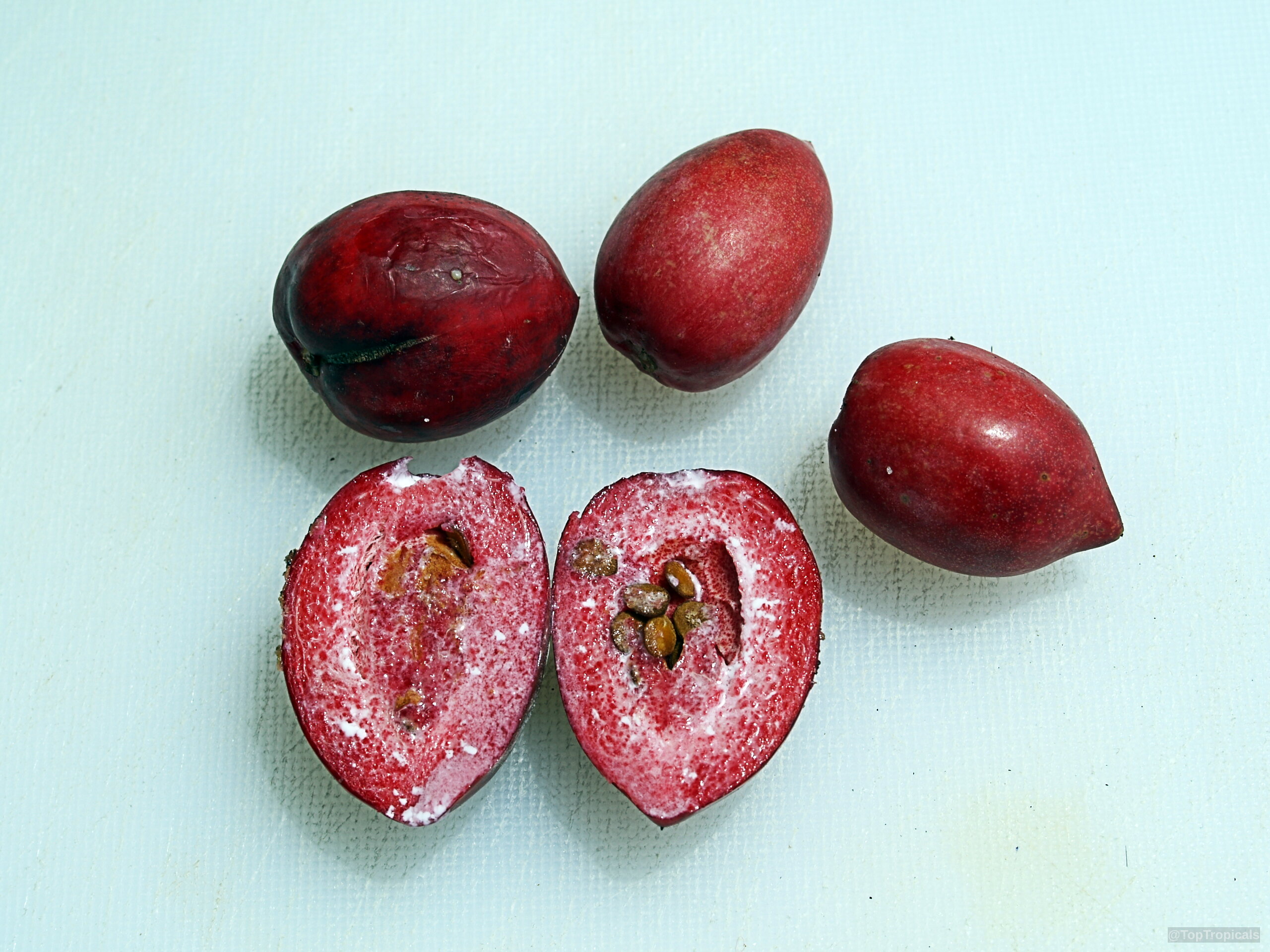 Carissa macrocarpa (Natal Plum) red fruit pieces resting on a plate Carissa macrocarpa (Natal Plum) red fruit close up on a plate