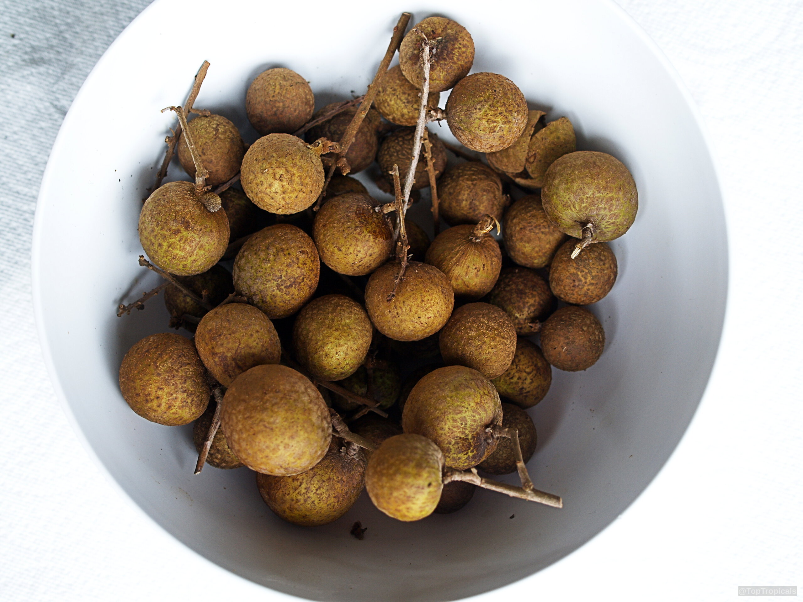 Dimocarpus longan (Longan) brown fruit piled together on a white plate. Dimocarpus longan (Longan) brown round fruit on a plate, close up.