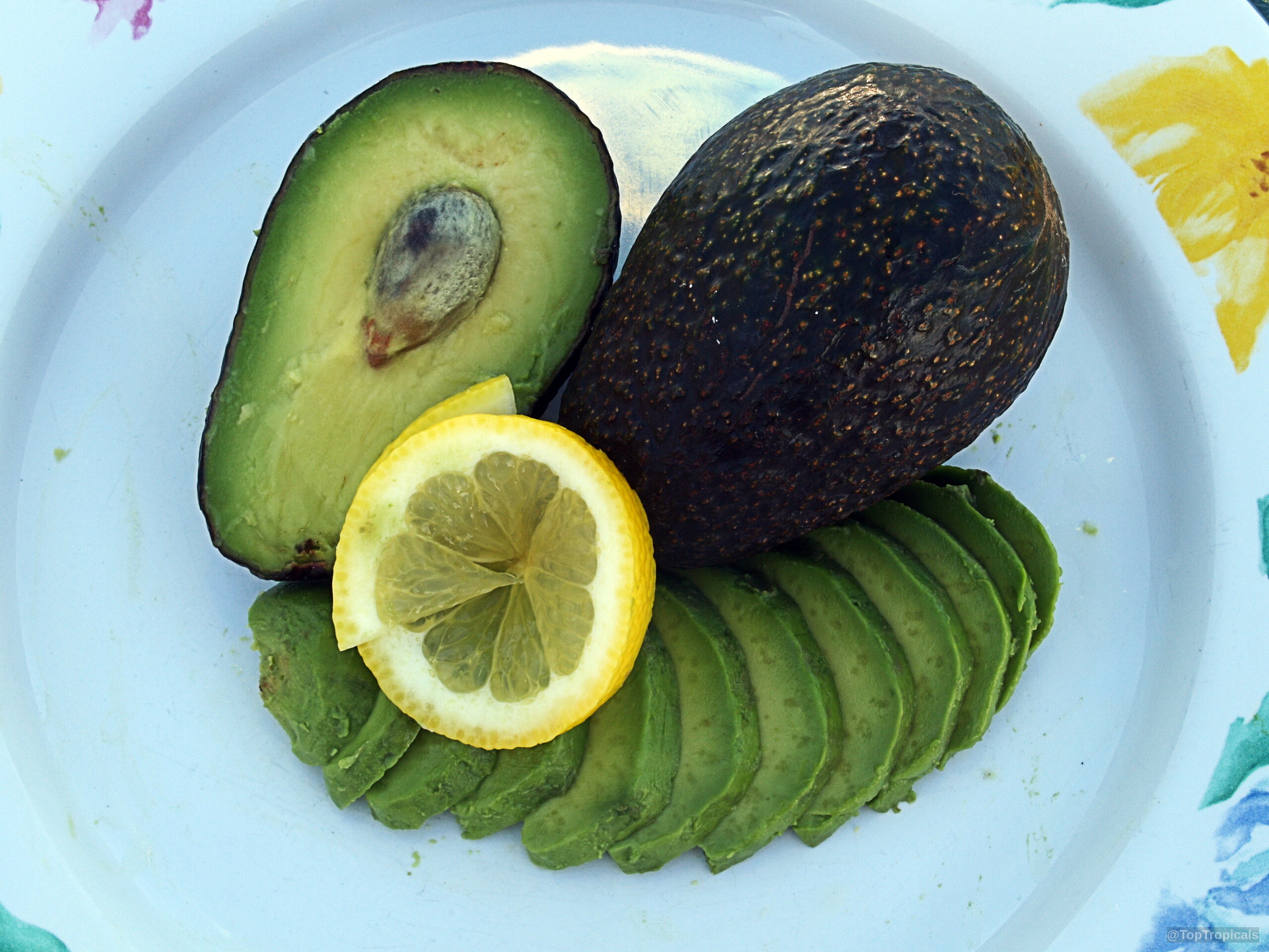 Persea americana (Avocado) with sliced lime green fruit and a yellow lemon on a plate. Persea americana (Avocado) dark purple skin and lime green fruit on a plate close up