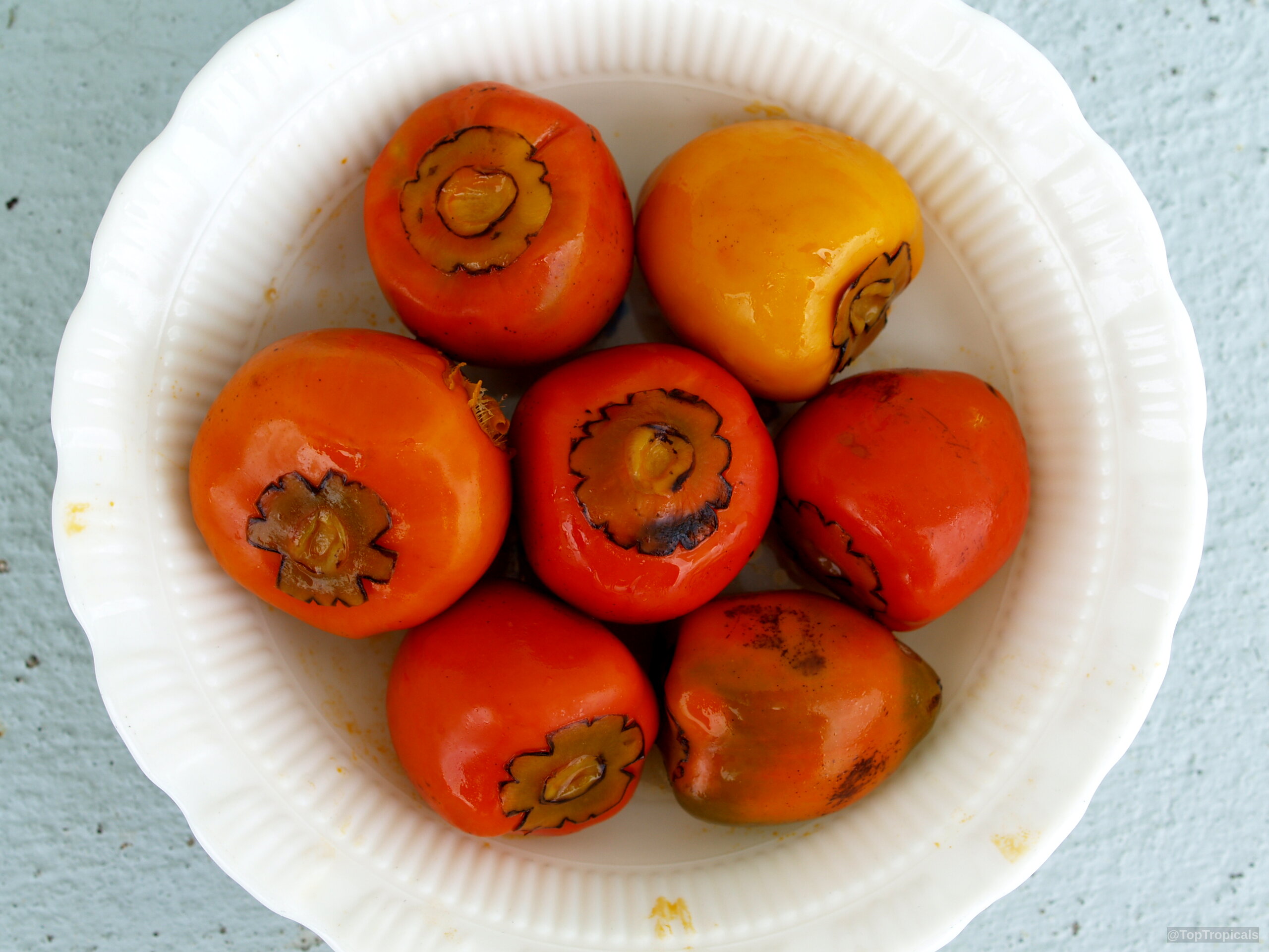 Bactris gasipaes (Peach Palm) fruit resting on a plate, showing smooth round shapes and various skins. Bactris gasipaes (Peach Palm) orange fruit close up on a plate with yellow tones.