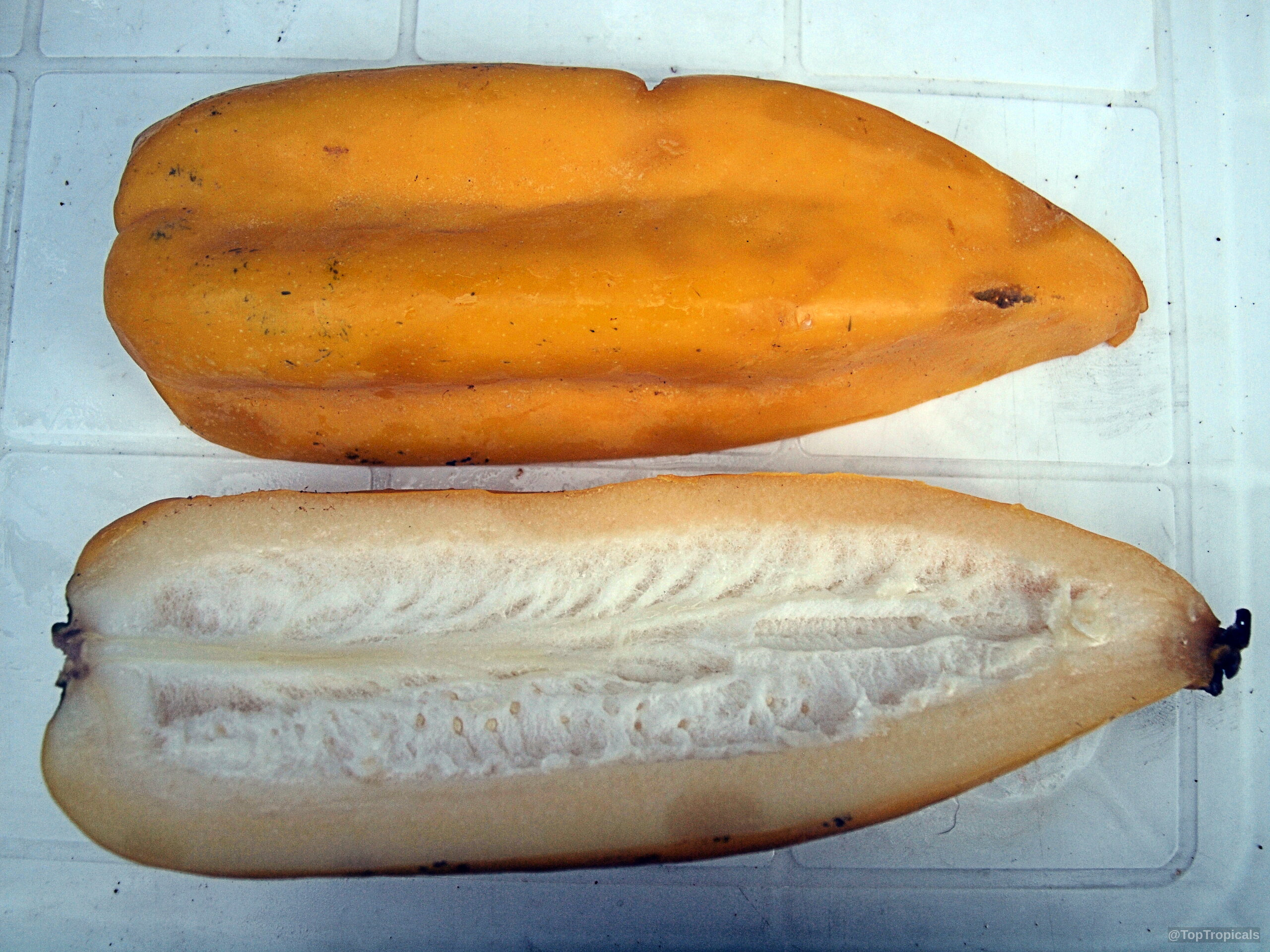Carica pentagona (Champagne Fruit) showing a whole yellow fruit and a sliced longitudinal cross section. Carica pentagona (Champagne Fruit) yellow skin and light interior fruit close up on a plate.