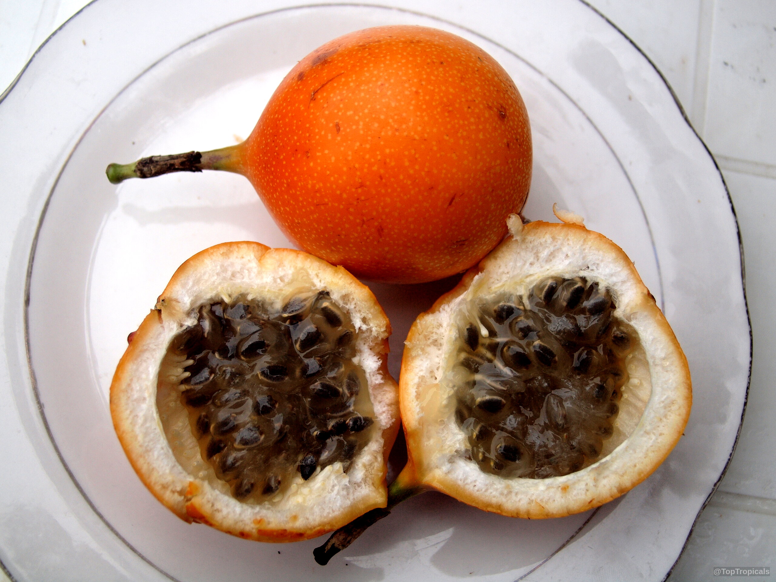 Passiflora edulis (Passion Fruit) sits on a plate as a whole fruit and two halves. Passiflora edulis (Passion Fruit) orange fruit close up on a plate with dark seeds.