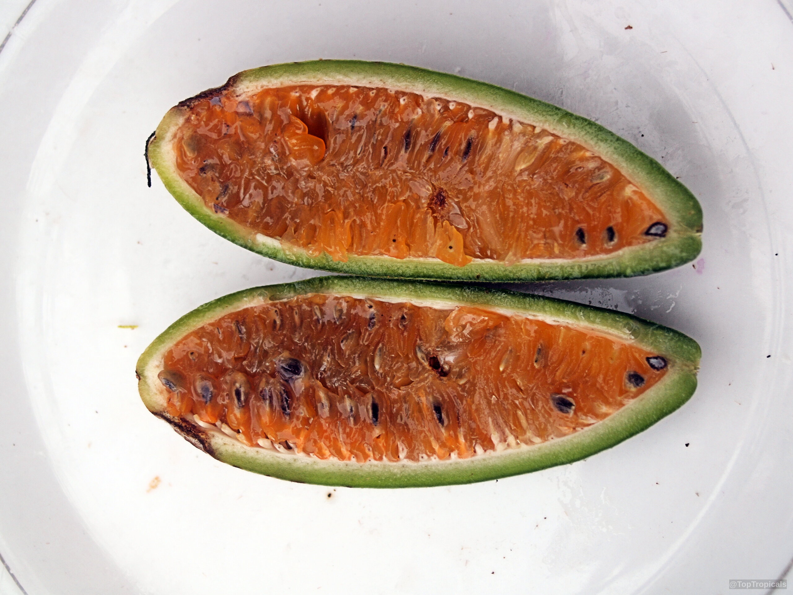 Passiflora mollissima (Banana Passionfruit) split into two halves, revealing orange flesh and dark seeds. Passiflora mollissima (Banana Passionfruit) orange fruit halves on a plate, close up.