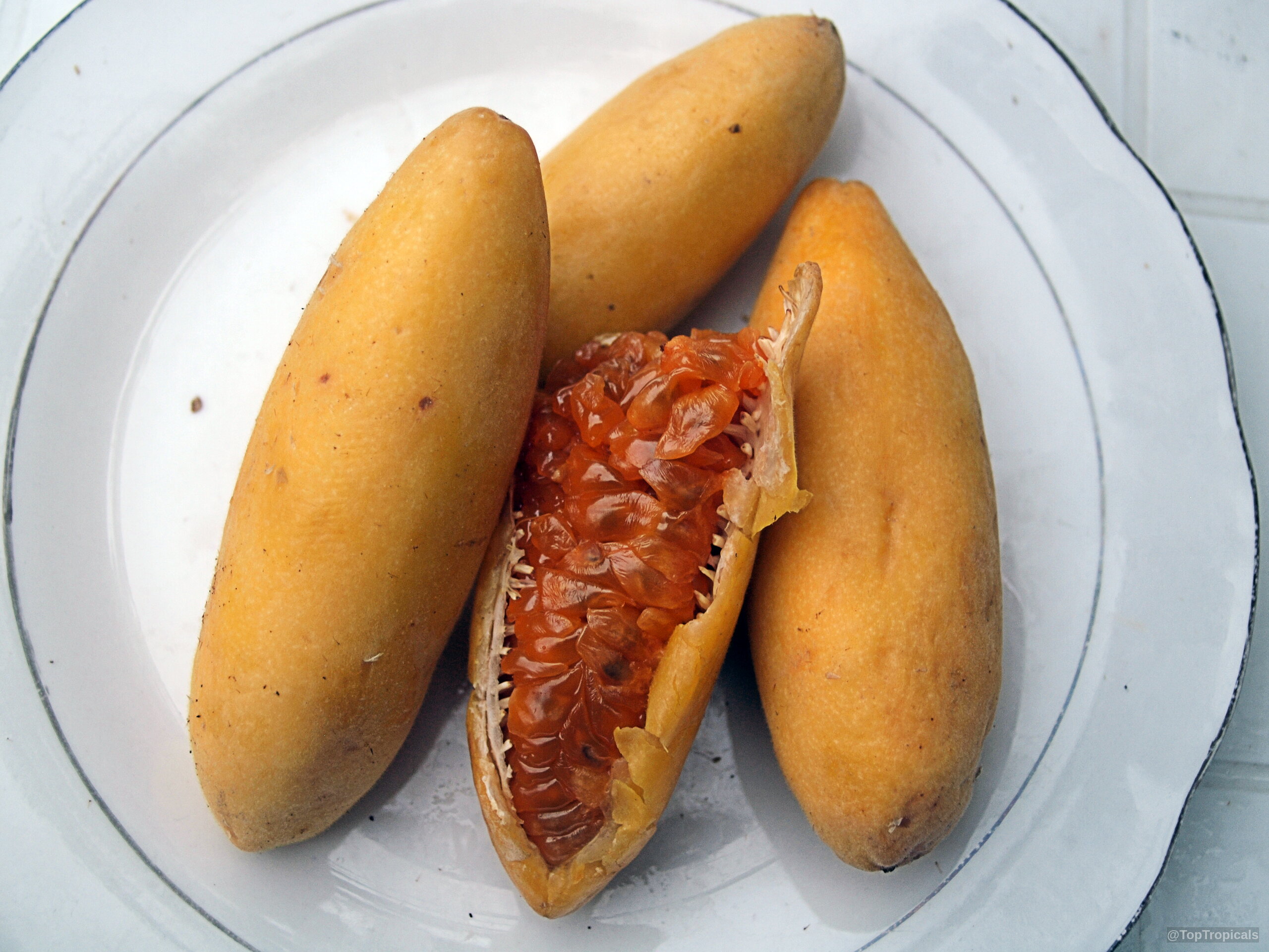 Passiflora mollissima (Banana Passionfruit) with elongated yellow fruit and exposed orange juicy pulp on a plate. Passiflora mollissima (Banana Passionfruit) yellow fruit close up on a plate with orange pulp.