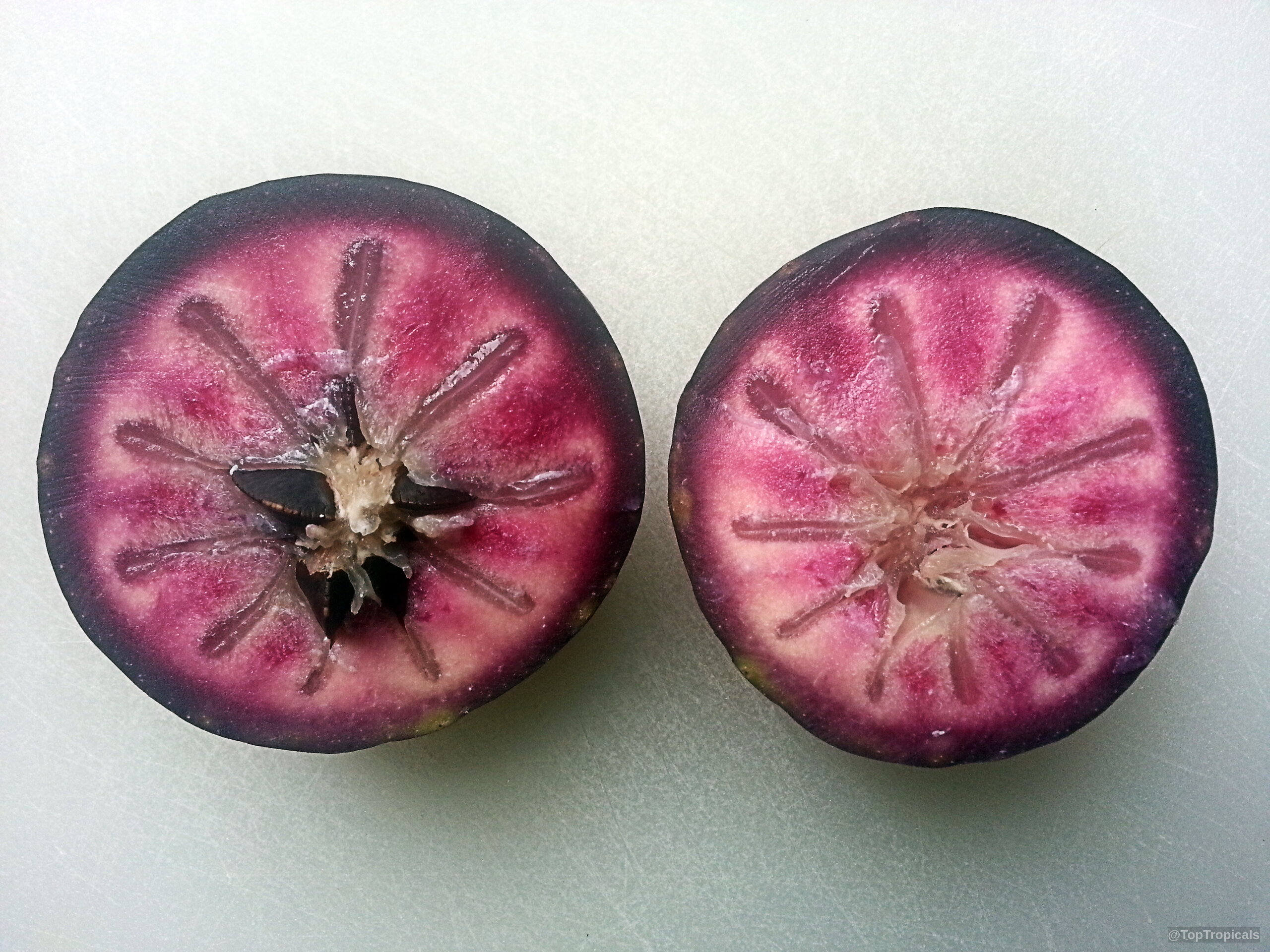 Chrysophyllum cainito (Caimito) sliced into two halves with purple flesh and star seed cavity Chrysophyllum cainito (Caimito) sliced purple fruit close up resting on a surface