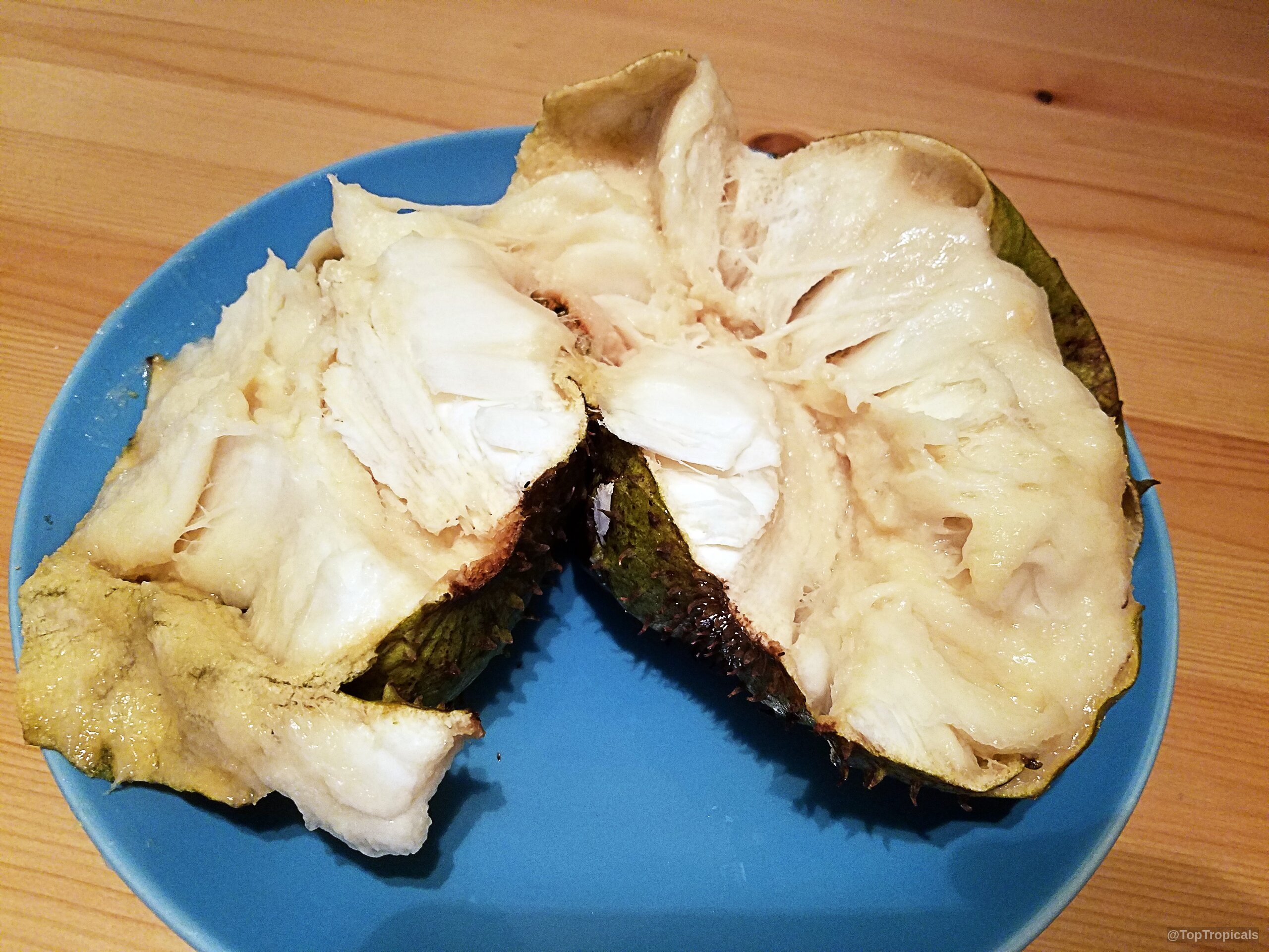 Annona muricata (Soursop) split open to reveal white juicy fruit on a plate. Annona muricata (Soursop) split open, revealing soft white fruit pulp inside on a plate.