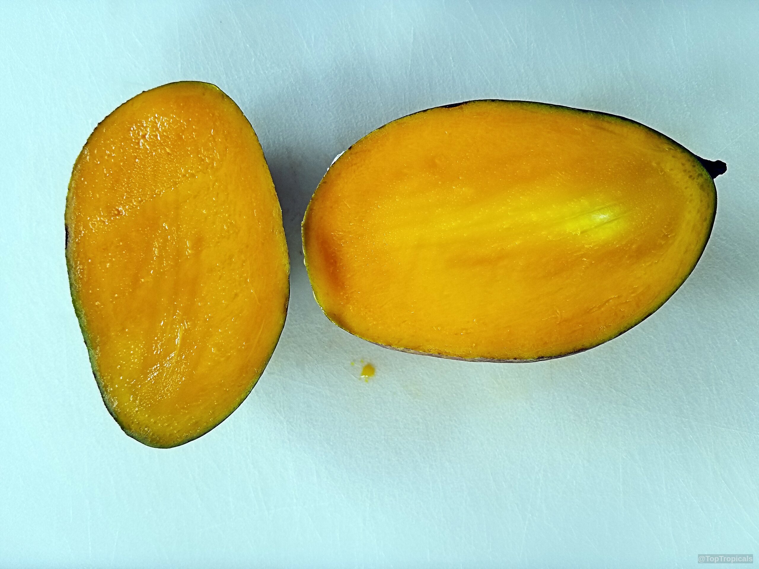Mangifera foetida (Kuwini) sliced fruit halves lie exposed with golden orange flesh on white board Mangifera foetida (Kuwini) sliced orange fruit halves close up on white cutting board