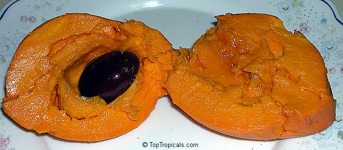 Pouteria campechiana - Canistel pulp, egg fruit