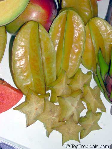 Averrhoa carambola, Carambola, Starfruit, Five-finger, Balimbing