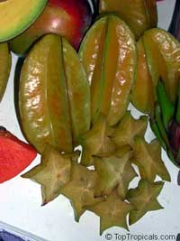 Averrhoa carambola var Arkin - Starfruit, grafted

Click to see full-size image