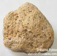 Песчаник, Осадочная горная порода

Click to see full-size image