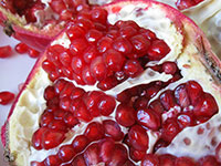Punica granatum - Pomegranate var. Wonderful

Click to see full-size image