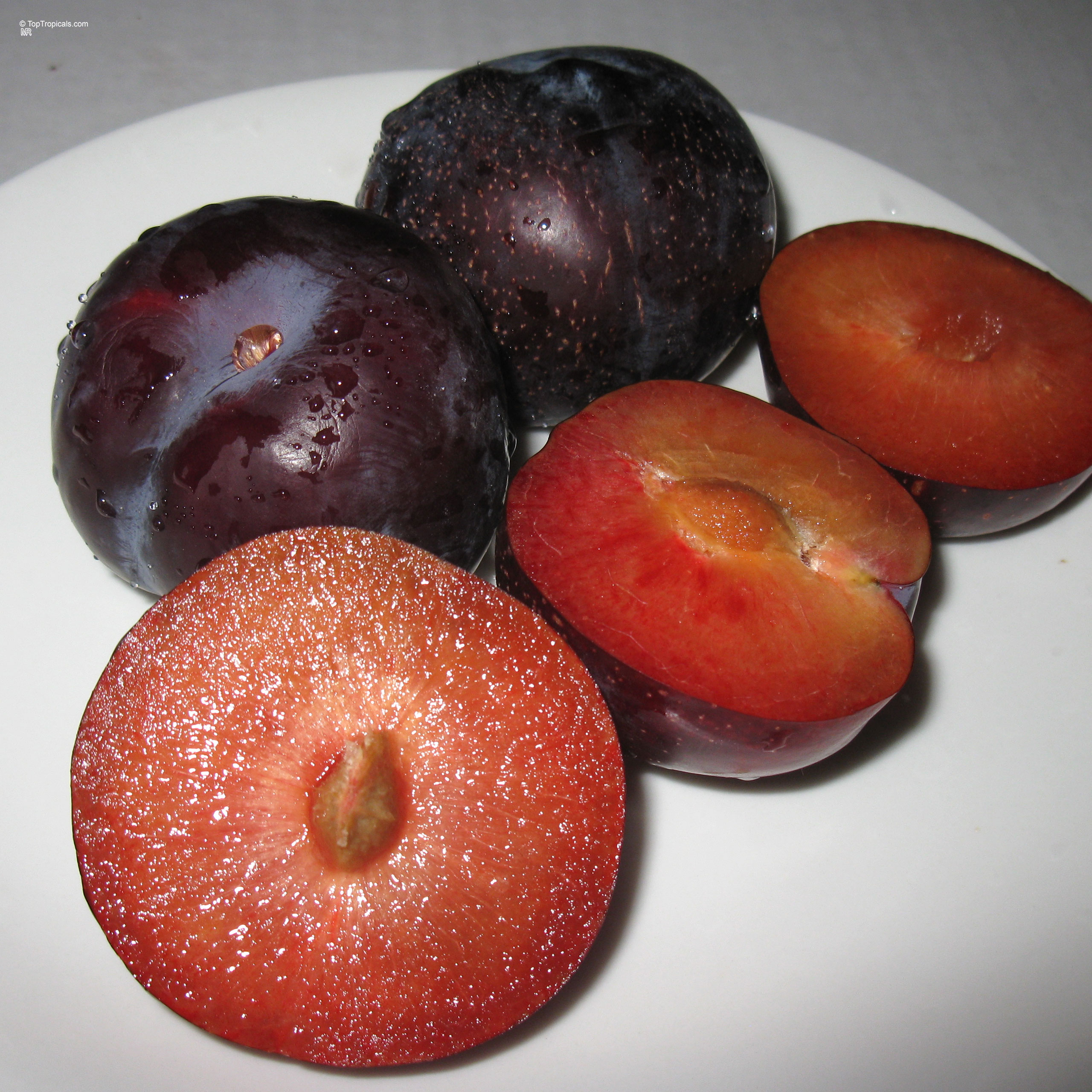 Prunus salicina (Japanese Plum) with two whole dark purple fruits and two sliced red halves Prunus salicina (Japanese Plum) with purple skin and red fruit on a plate close up