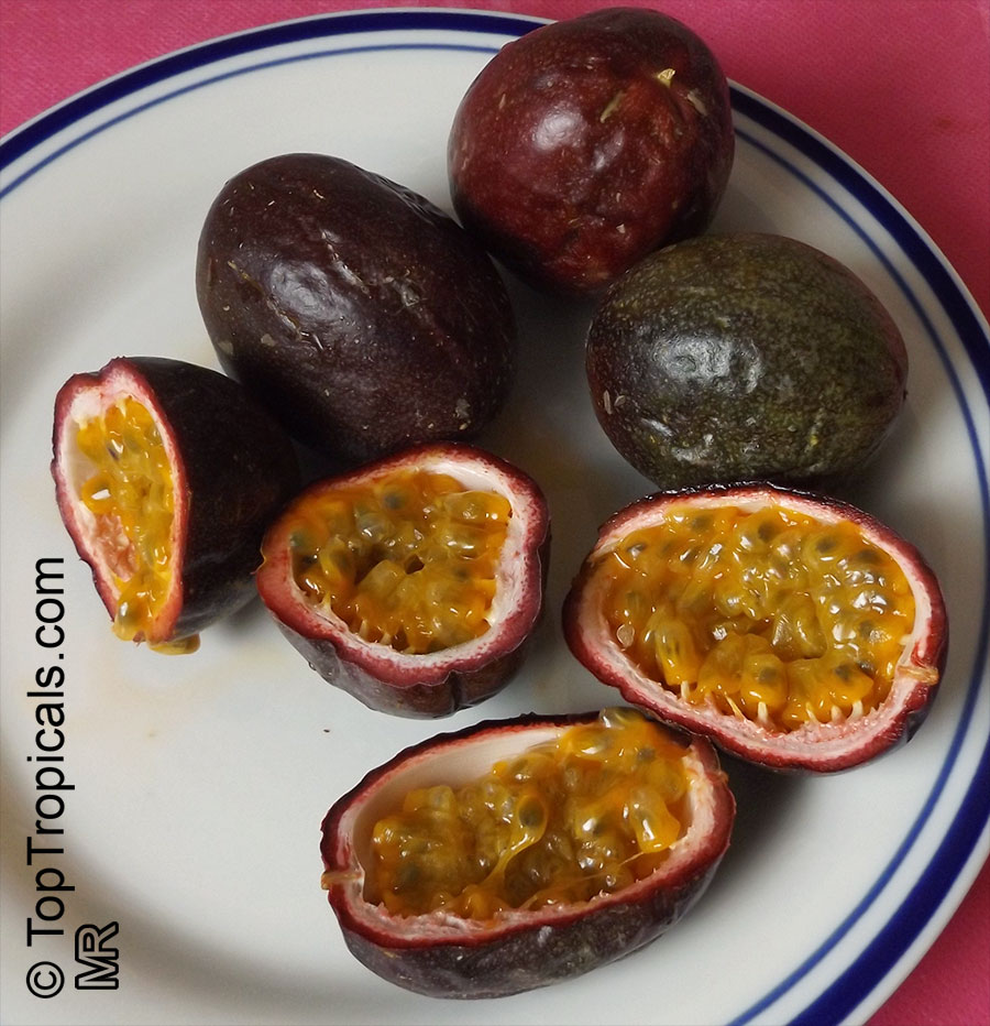 Passiflora edulis, Passion Fruit, Parcha, Maracuya, Granadilla