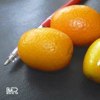 Fortunella margarita, Oval Kumquat

Click to see full-size image