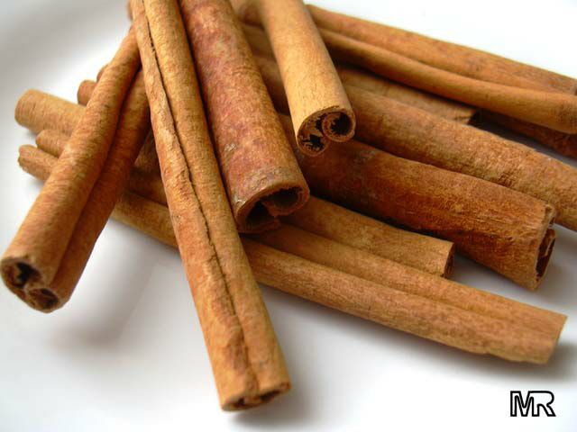 cinnamon stick plant