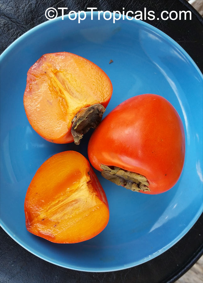Diospyros kaki, Kaki, Japanese Persimmon, Oriental Persimmon, Sharon Fruit