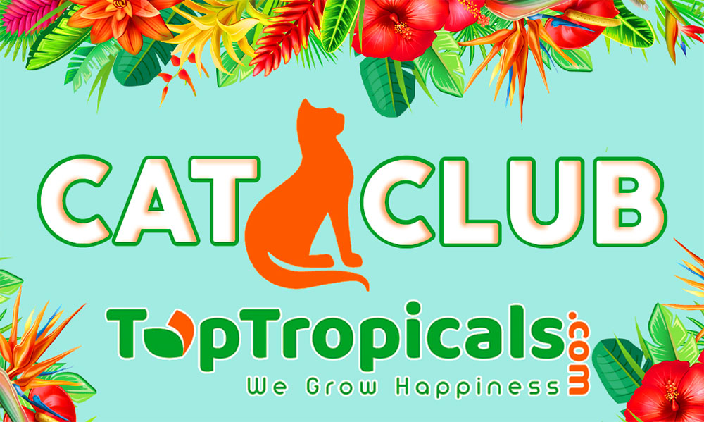Donation for Cats - TopTropicals Cat Club