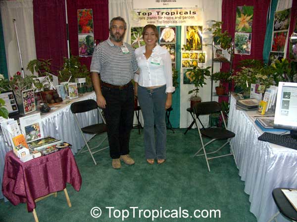 TopTropicals.com - rare plants for home and garden