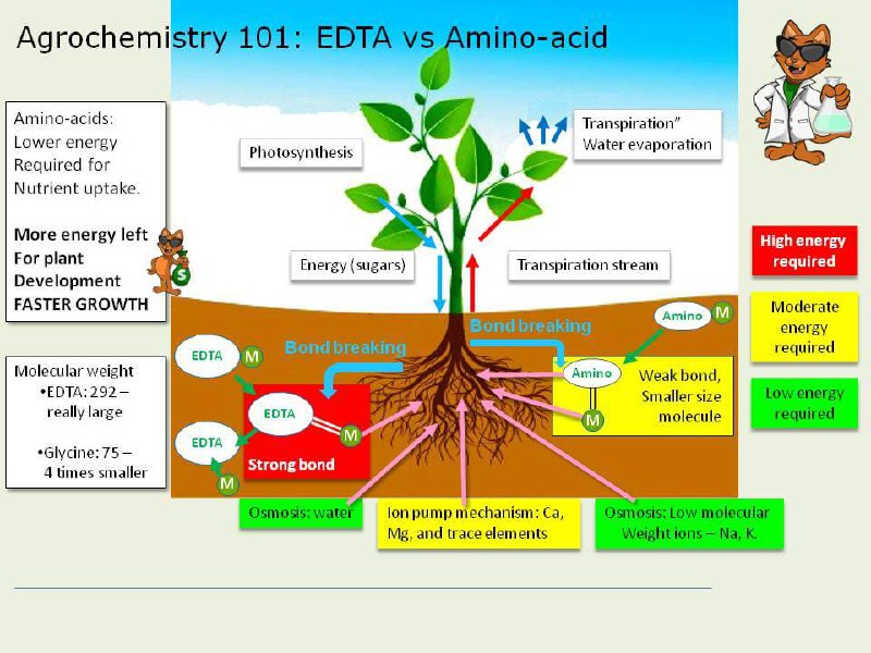 Why my plant turned yellow? And why plants need Micronutrients? The answer is: 