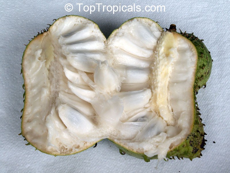 What is the most delicious Annona fruit? 