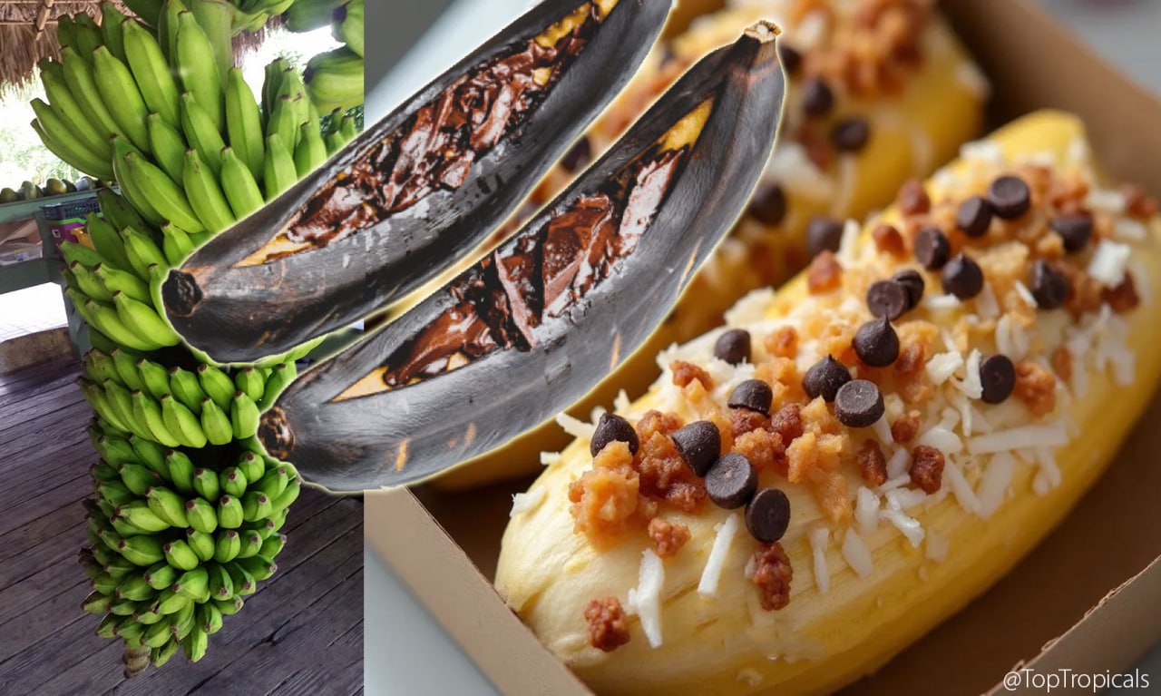 What to do when you have too many bananas: make Grilled Banana Boats recipe 