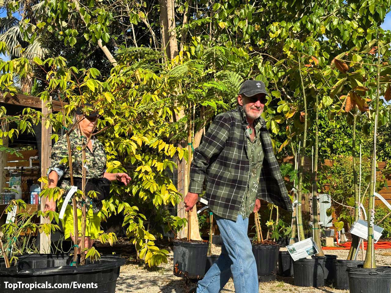 A few pictures from todays event - Holiday Plant Market