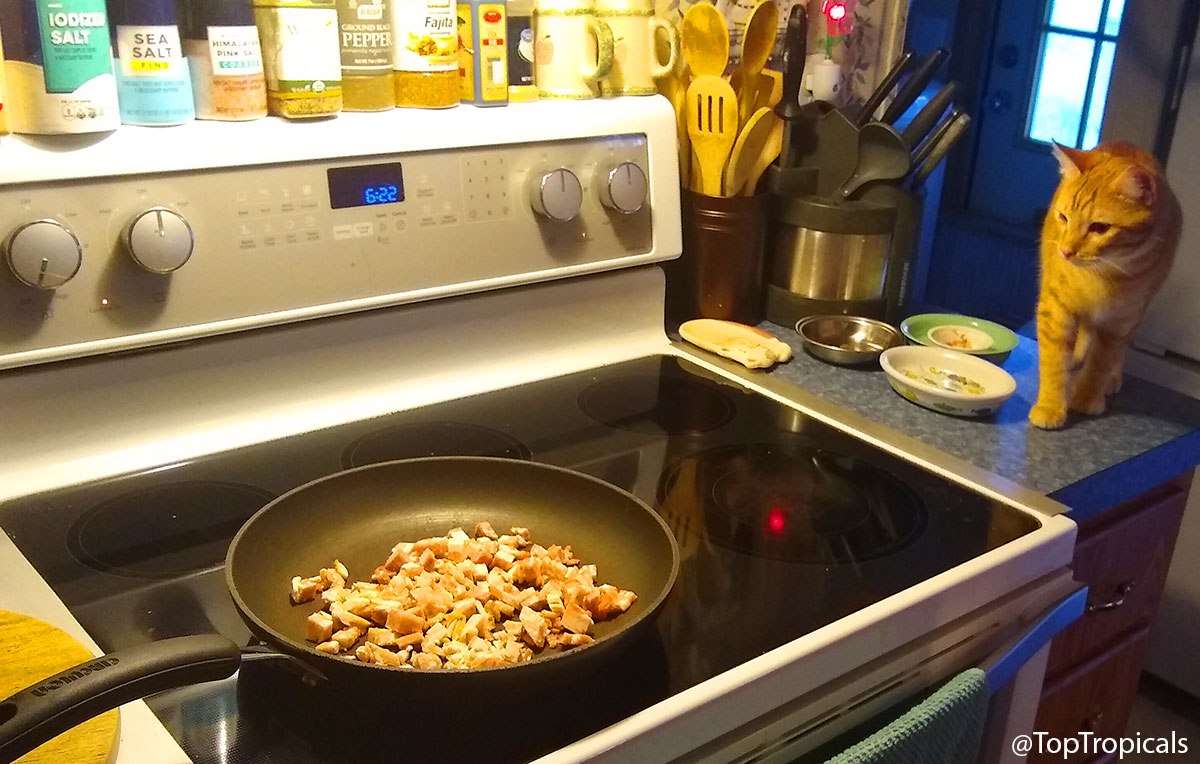 Team work in the kitchen