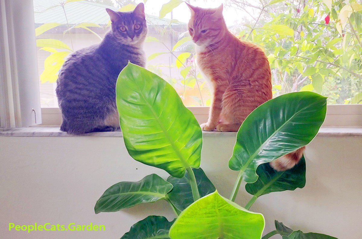 Someone is sitting in the shade today because someone planted a tree a long time ago