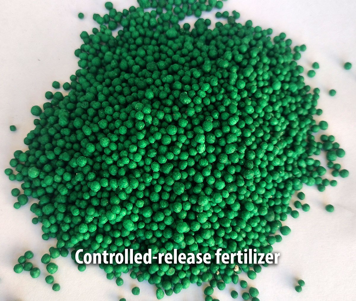 How to learn the Truth about fertilizers