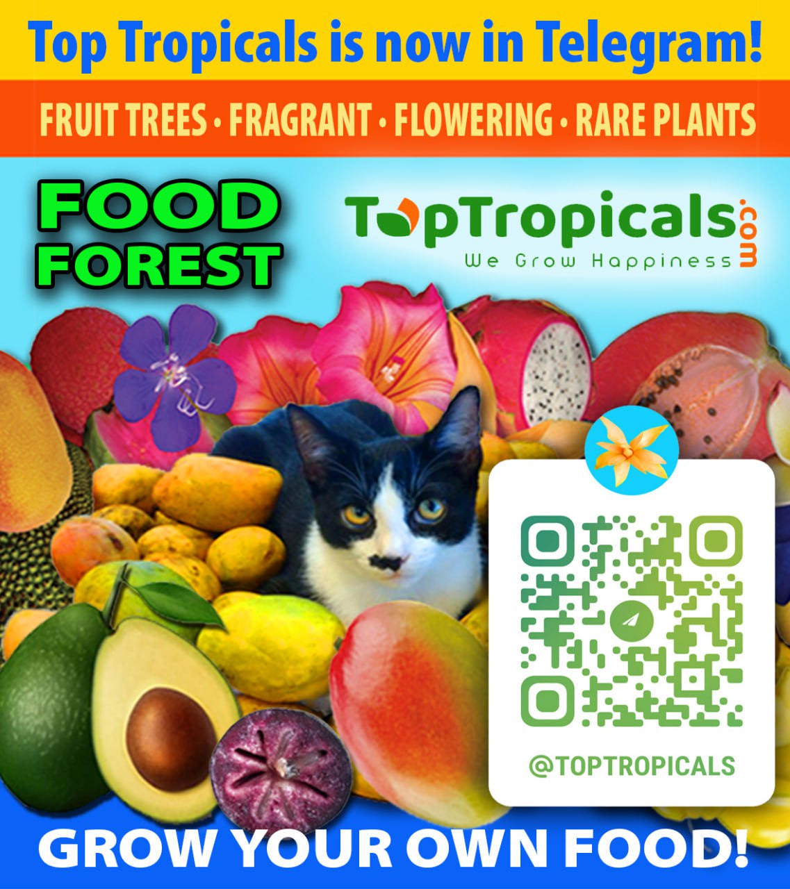  Top Tropicals is now in Telegram! 