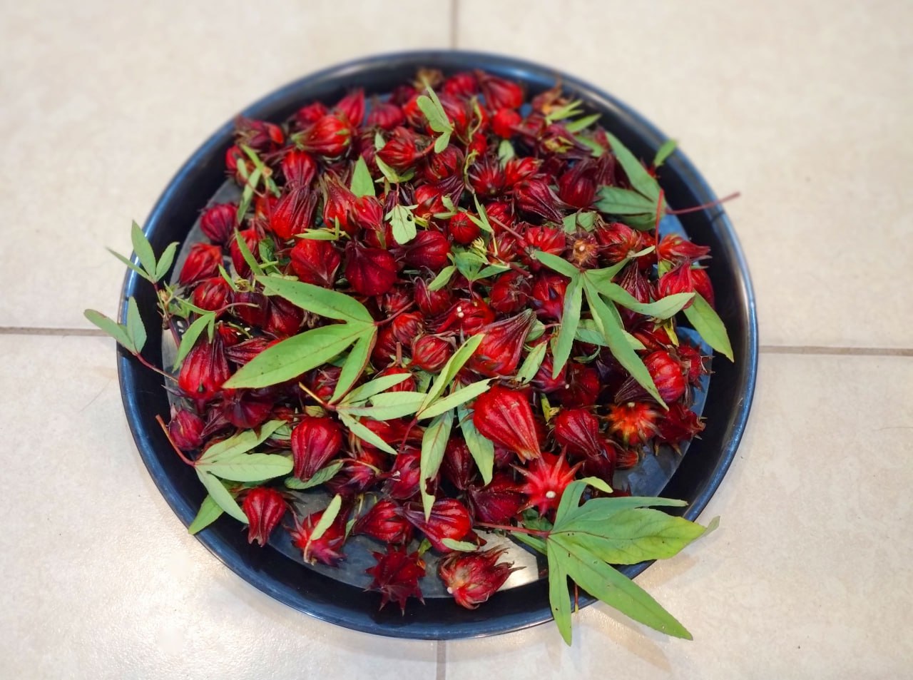 Did you know that you can eat and drink Hibiscus plants?