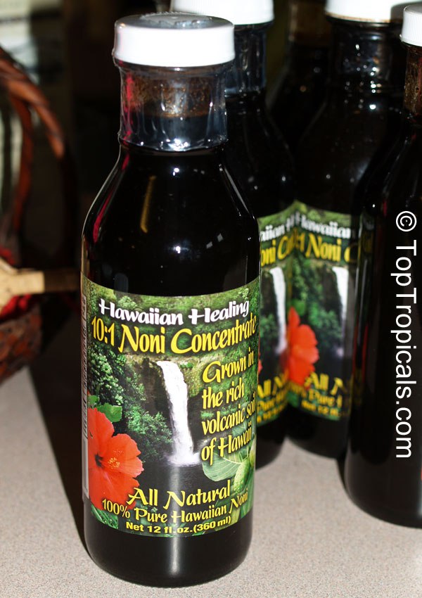 Morinda citrifolia - Noni tree juice