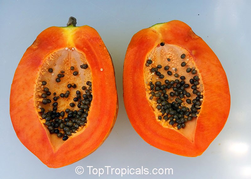 The truth about Papaya: 