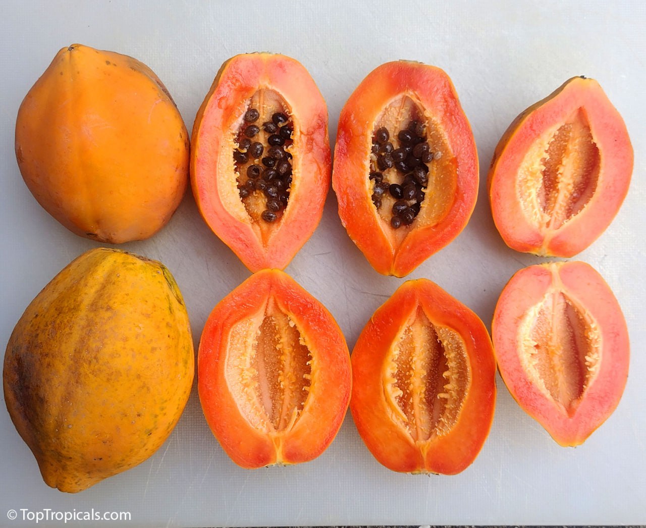 Papaya fruit