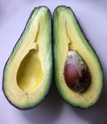 Avocado 