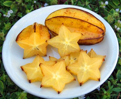 Star Fruit - Carambola Tree (Averrhoa carambola) fruit on a plate